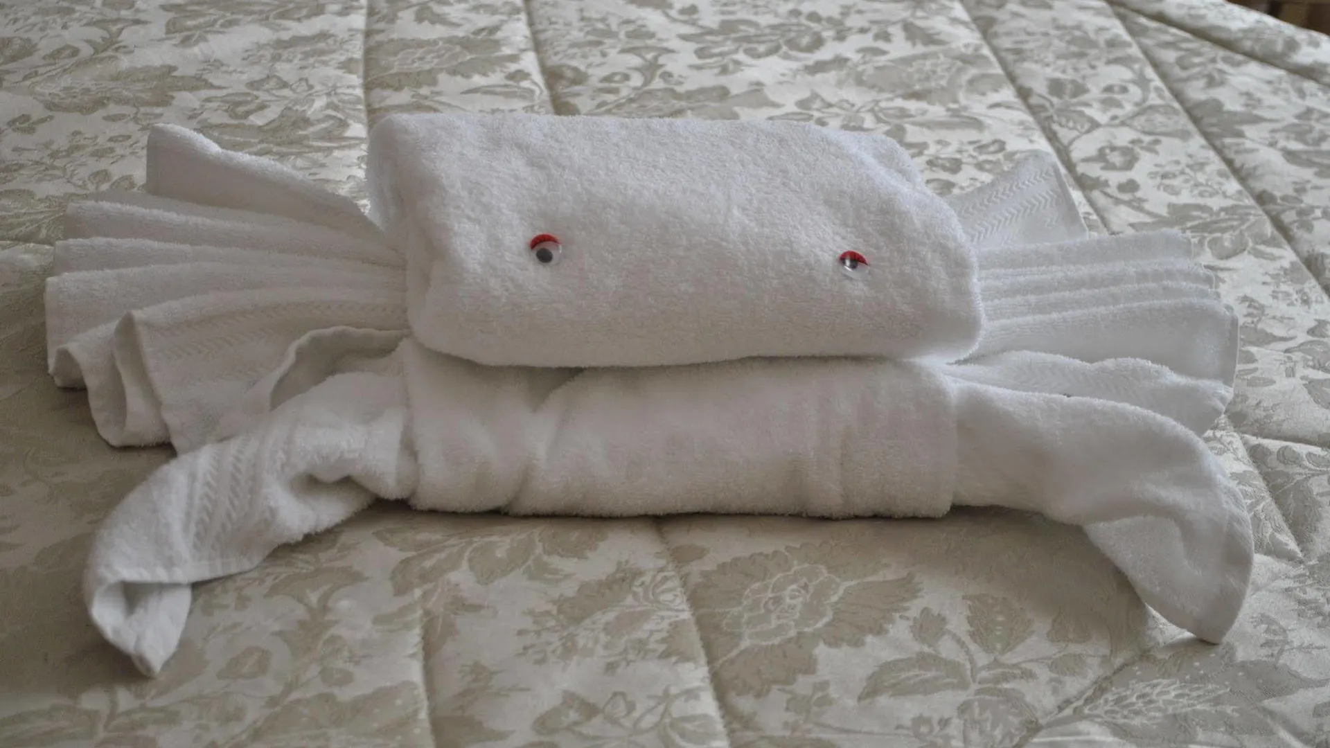 Stupor Mundi Bed And Breakfast Παλέρμο